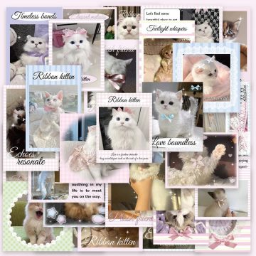 Ballet Kitten Graffiti Stickers for Helmet, Wall, DIY Decoration