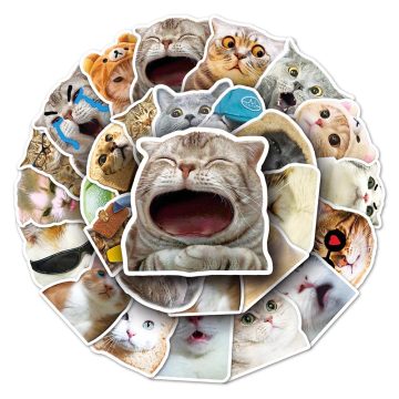 Cute Cat Meme Kawaii Stickers - Waterproof Graffiti Decals for Fridge Bike Phone