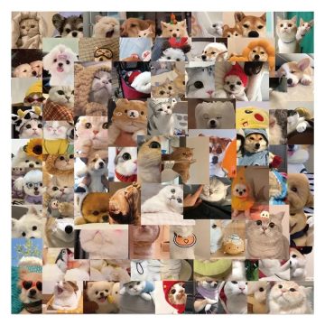 Happy Dog Cat PVC Sticker - Aesthetic Korean Stationery for School Supplies, Scrapbooking