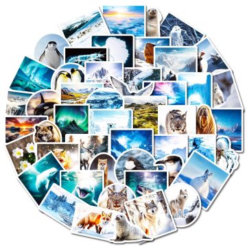North South Poles Scenery Aesthetic Decals for Luggage Car Decor