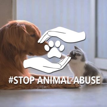 Animal Abuse Awareness Sticker - Car Motor Laptop Decal