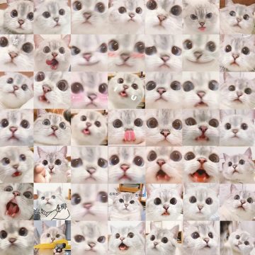 Kawaii Meme Cat Stickers - Funny Animal Decals for Fridge & Bike