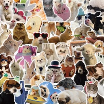 Cat Dog Meme Stickers - Transparent PET Decals for Fridge Phone