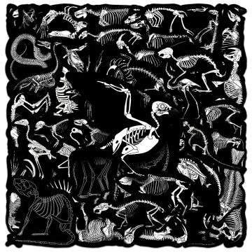 Cartoon Dark Animals Skeleton Skull Stickers for Water Bottle Notebook