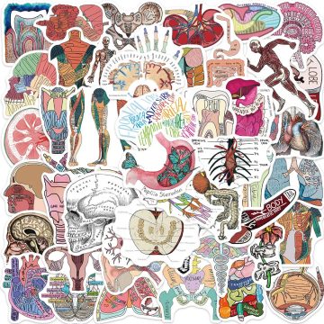 Human Organ Medical Anatomy Stickers - Cartoon Waterproof Decals for Stationery
