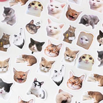 Cat Stickers Laptop, Skateboard, Suitcase, DIY Decoration