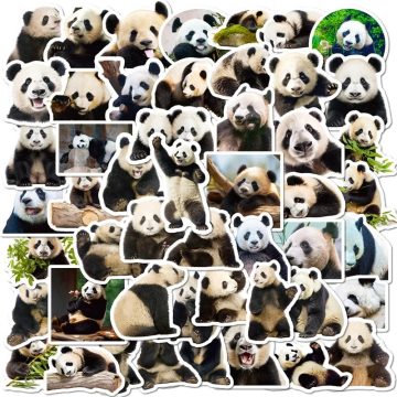 Cute Panda Life PVC Sticker Pack - Aesthetic Korean Stationery Scrapbooking Hand Accounting Decoration