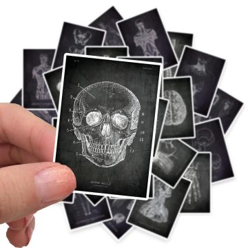 Anatomical Skeleton Chalkboard Stickers for Laptop PVC Water Bottle Waterproof Decal Toy Medicine Student Gifts
