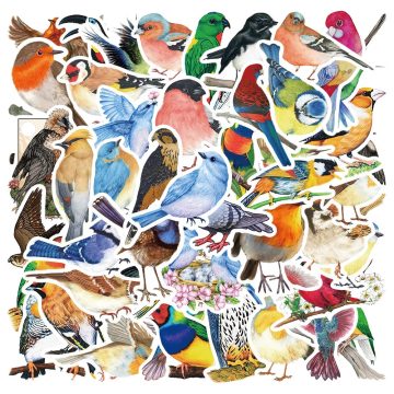 Cute Colorful Birds Animal Stickers, Waterproof Graffiti for Phone, Water Bottle, Laptop, Bicycle, Car Decals, Kids Toy