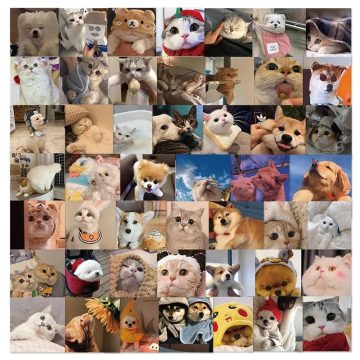 Cute Cat Dog Daily Stickers - Korean Aesthetic PVC School Supplies