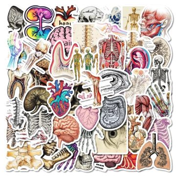 Kawaii Creative Brain PVC Stickers - Children's DIY Stationery for Decoration