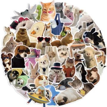 Funny Cats Dogs Meme Transparent Pet Stickers for Skateboard Fridge Car