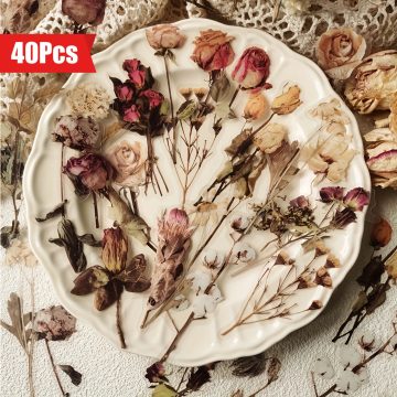 Rose Plant Stickers - Floral Scrapbook & Planner Decor
