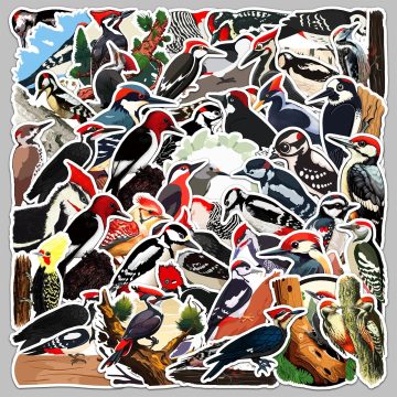 Cartoon Woodpecker Stickers for Helmet, Wall, Desktop Decoration