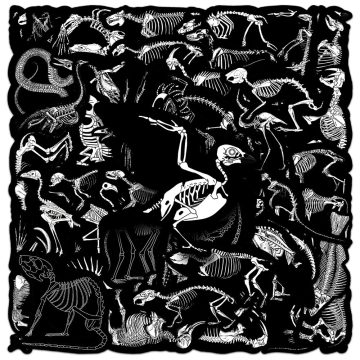 Animal Skeleton Black Stickers - Cool Graffiti Decals for Phone Bike Skateboard