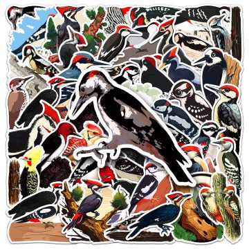 Woodpecker Graffiti Stickers Laptop & Skateboard Decoration