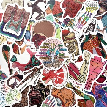 Human Anatomy Stickers for Luggage Skateboard Laptop