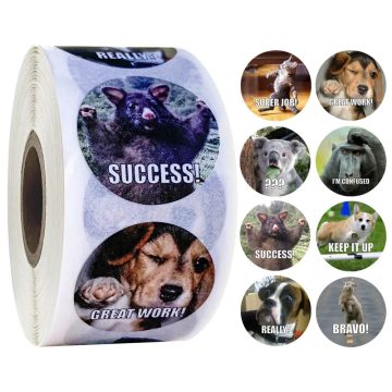 Funny Motivational Reward Stickers for Kids School Teachers Gift Decor