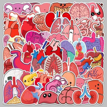 Cartoon Human Organs Stickers for Helmet, Wall, Desktop Decoration