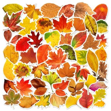 Fallen Leaves PVC Stickers - Korean Aesthetic School Supplies for Scrapbooking
