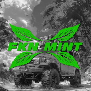 Fkn Mint Sticker - Creative Automotive Exterior Vinyl Decal