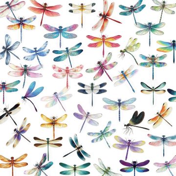 Dragonfly Cartoon Stickers - Transparent Funny Insect DIY for Fridge Luggage Laptop Phone Guitar Bike