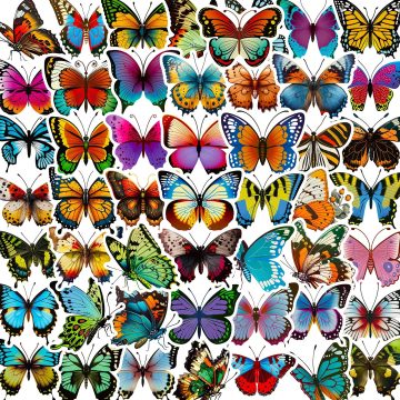 Butterfly Cartoon Stickers for Wall and DIY Projects