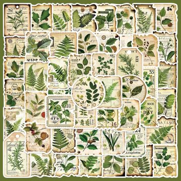 Botanical Garden Graffiti Stickers for Helmet, Wall, Desk Decor
