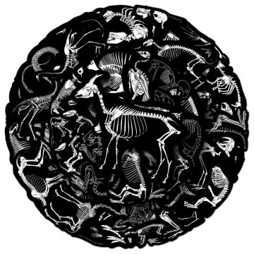 Dark Animal Skeleton Skull Graffiti Stickers for Skatebook Fridge Luggage