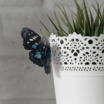 3D Butterfly Wall Stickers Magnet Set for Wedding & Home Decor