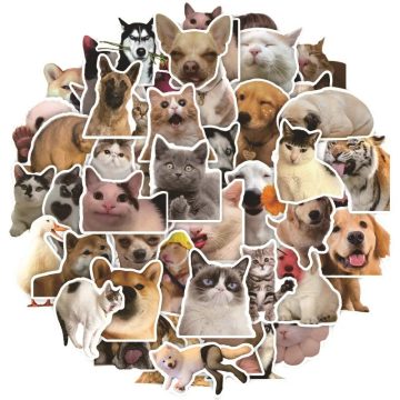 Mixed Cat Animal Meme Stickers - Funny Graffiti Waterproof Decals for Guitar DIY